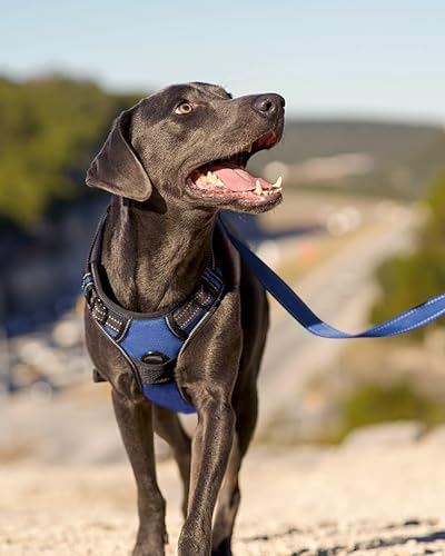 Joytale Dog Harness (Chest: 12-21"), Dog Collar and 6FT x 3/4" Wide Dog Leash Set, Reflective Padded Nylon Collar and Leash, Adjustable Soft Harness with Handle for Dogs