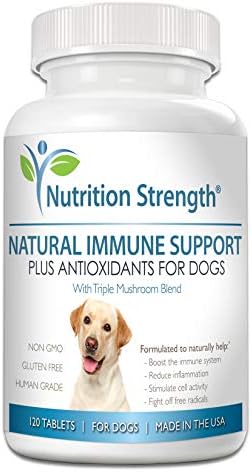 Immune Support for Dogs 120 Chewable Tablets
