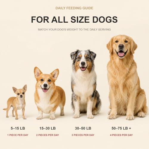 American Paws Bulk Chicken Jerky Dog Treats for Large Dogs, USA (5 LB)