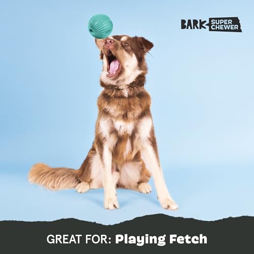BarkBox Sea Foam Reef Ball Treat Dispensing Toy for Large Dogs, Perfect for Fun-Filled Stimulation and Interactive Playtime | Perfect for Fun-Filled Stimulation and Interactive Playtime