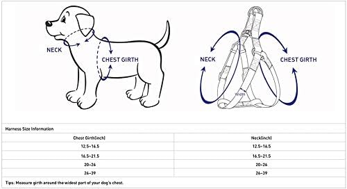Blueberry Pet Soft & Comfy 3M Reflective Step-in Pastel Color Padded Dog Harness, Chest Girth 16.5" - 21.5", Olive Green, Small, Adjustable Harnesses for Dogs