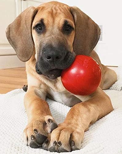 Jolly Pets Tug-n-Toss Heavy Duty Dog Toy Ball with Handle, 3 Inches/Mini, Red (403 RD) | Mini 3 inch jolly ball with handle, treat-dispensing chamber for puzzle play, bounces for fetch, made in USA