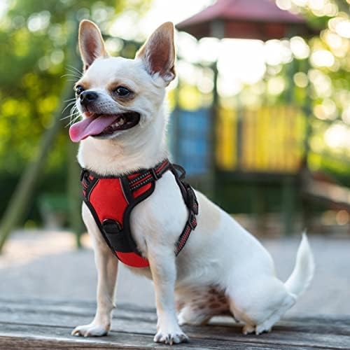 rabbitgoo Dog Harness, No Pull for Small Dogs with 2 Leash Clips, Pet Vest | No Choke, Adjustable, Breathable Padded, 2 Lead Rings, Reflective, Easy Control for Walking Training, XS, Red