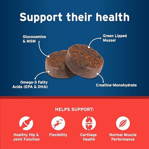 Pet Protect Hip & Joint Supplement for Dogs, Chicken Flavor 240ct
