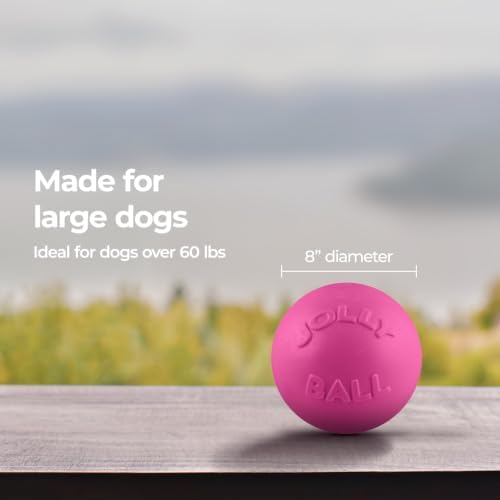 Jolly Pets Bounce-N-Play Large Dog Ball, 8 In, Pink | Durable large dog ball for dogs over 60 lbs, made from tough JollyFlex material that won't deflate when punctured and floats