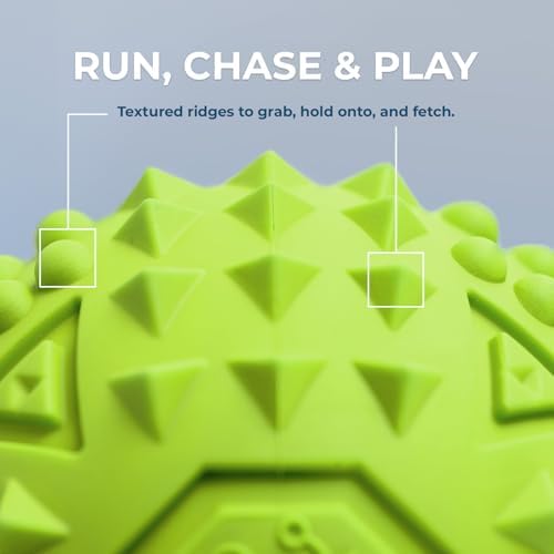 Best Pet Supplies Squeaky Dog Toys with Soft Durable Fabric for Small, Medium and Large Pets Interactive Toy for Indoor Play, Supports Active Biting and Play - Fuchsia, Green (L:3.5")