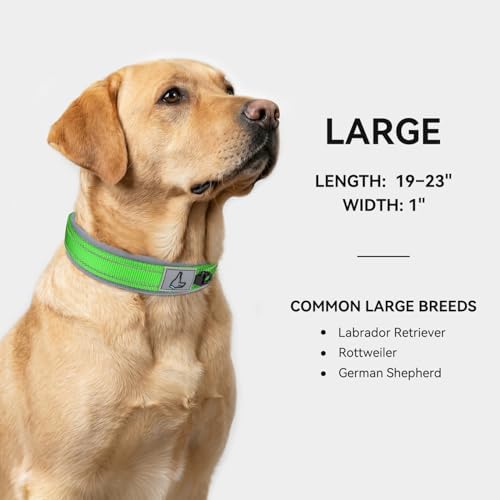 Joytale Reflective Dog Collar for Large Dogs with Wide Padding, Green
