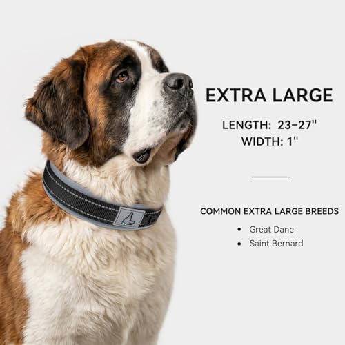 Joytale Reflective Dog Collar for XLarge Dogs with Wide Padding, Black