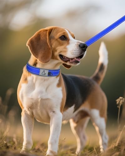 Joytale Reflective Dog Collar for Medium Dogs with Wide Padding, Navy Blue