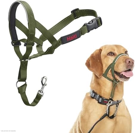 Halti Headcollar | Size 3, Forest Green | Training Collar for Medium Dogs