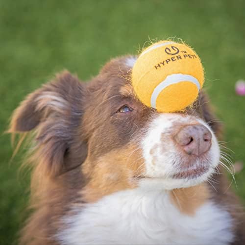 Hyper Pet Tennis Balls for Dogs (Safe Ball for Exercise and Training) Interactive Dog Toys work with Hyper Pet K9 Kannon K2 Dog Ball Launcher - 4 Pack 2.5" Orange | Interactive playthings that work with the K9 Kannon K2 launcher, made for training sess...