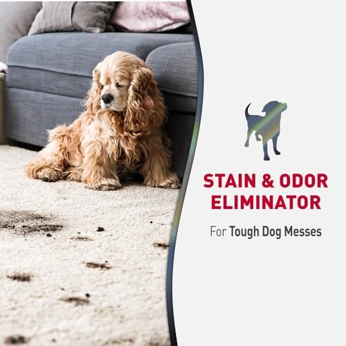Nature's Miracle Advanced Dog Stain & Odor Eliminator, Severe Mess, 1 gal