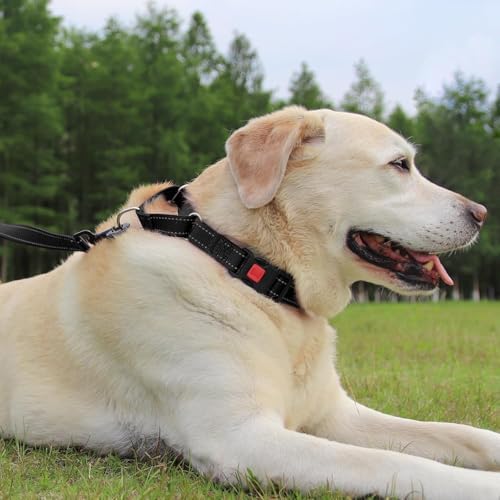 Joytale Martingale Collar for Dogs, Escape Proof No Pull, Black, S