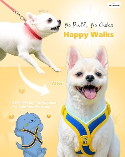 PETHROOM Comfort-X Dog Harness 2.0, Step-in Soft Lightweight Vest (Small)