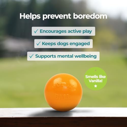 Jolly Pets Dog 6-Inch Bounce-n-Play, Orange, 6 Inches/Medium | Tough, bouncy medium dog ball made from JollyFlex material that retains shape even when punctured and floats for water play