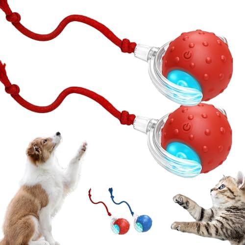 2026 New Dog Toy, Interactive Fast Moving Toys Balls with Birdsong, 360° Smart Automatic Rolling Electric Dog Ball Toy with Rope for Dogs and Cat Indoor Play (Red*2)