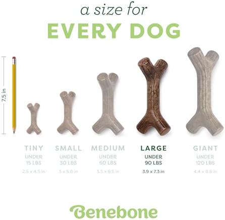 Benebone Maplestick Real Wood Durable Dog Chew Toy, Made in USA, Large | Durable, Made in USA, Dog Bones, Long-Lasting, A Size for Every Dog, Keeps Them Busy