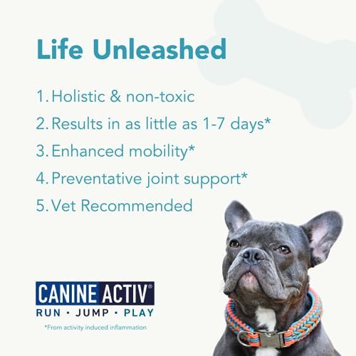 Mobility Support Capsules for Small Dogs, Supports Recovery and Promotes Healthy Joints and Muscles from Activity-Induced Discomfort, 90 Count