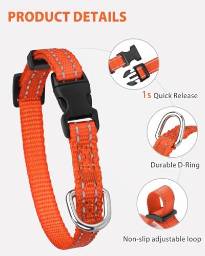 Joytale Feather-Light Puppy Collar for Extra Small Dogs, 3/8", Orange
