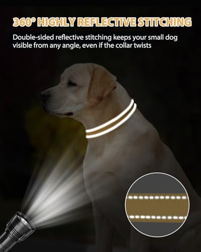 Joytale Feather-Light Dog Collar for Medium & Large Dogs, 1", Khaki
