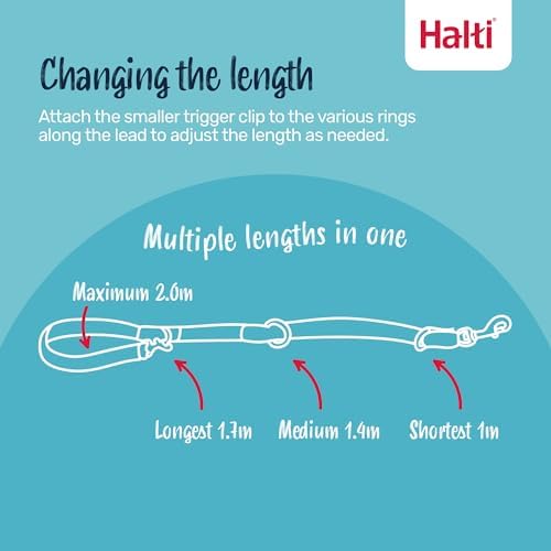Halti Headcollar (Size 4, Black) & Training Leash (Size L, Black) Bundle
