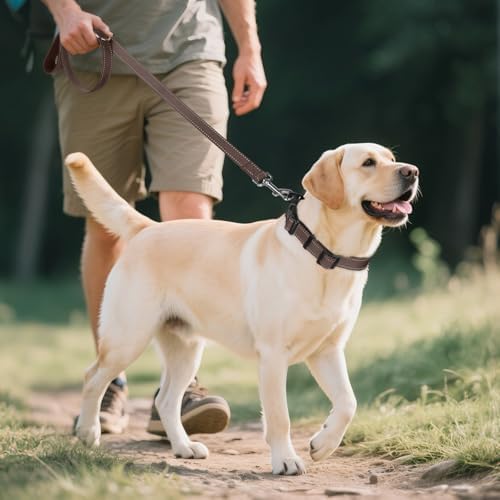 Joytale Reflective Dog Collar, Adjustable Neoprene Padded, Brown L