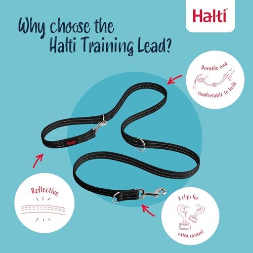 Halti Headcollar (Size 4, Black) & Training Leash (Size L, Black) Bundle