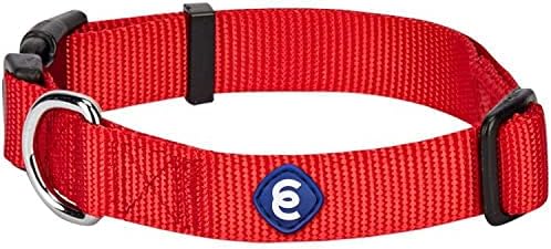 Blueberry Pet Essentials Medium Dog Collar in Rouge Red | Adjustable & Eco-Friendly Durable Nylon Strap | Classic Collar for X-Small Dogs, Boy & Girl Pets