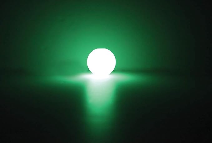 Chuckit! Max Glow Ball (2 pack)