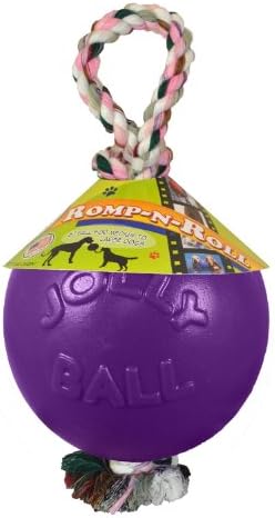Jolly Pets Romp-N-Roll Rope & Ball Dog Toy, 4.5 in Small, Purple | Rope-and-ball fetch toy in tough JollyFlex - won't deflate if punctured, floats, made in USA