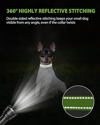 Joytale Feather-Light Puppy Collar for Extra Small Dogs, 3/8", Green