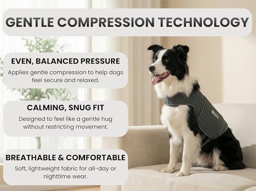 Dog Anxiety Vest, Small, Small