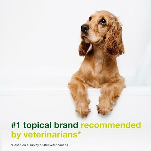 Douxo S3 SEB Dog Seboregulating Shampoo, 0.5% Ophytrium, 16.9 fl oz | Seborrhea Treatment for Dogs & Cats, Helps Control Dandruff, Unpleasant Odors & Oily/Flaky Skin, 0.5% Ophytrium, 16.9 fl oz
