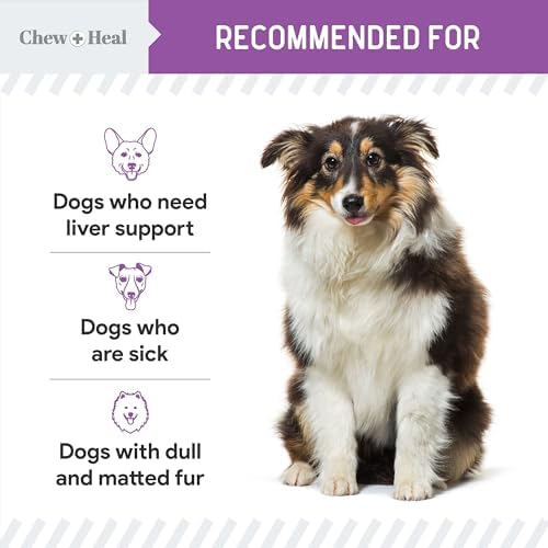 Milk Thistle for Dogs Liver Support, 2 oz - Liquid Milk Thistle Supplement
