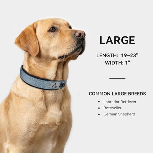Joytale Reflective Dog Collar for Large Dogs with Wide Padding, Gray