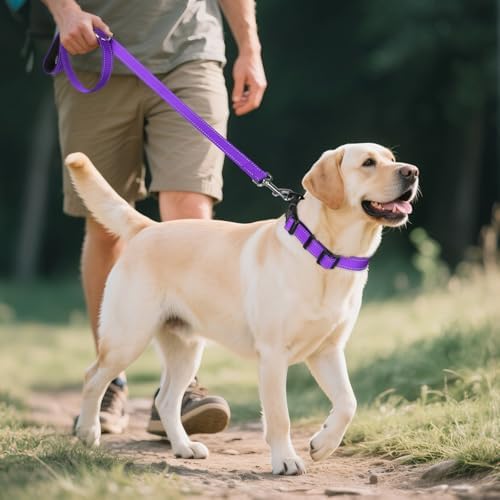 Joytale Reflective Dog Collar, Adjustable Neoprene Padded, Purple L