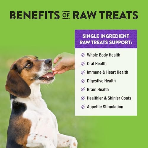 Northwest Naturals Raw Rewards Freeze-Dried Pork Liver Treats - 3oz