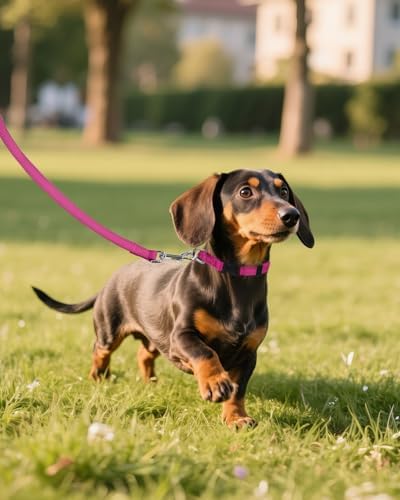 Joytale Feather-Light Puppy Collar for Extra Small Dogs, 3/8", Hotpink