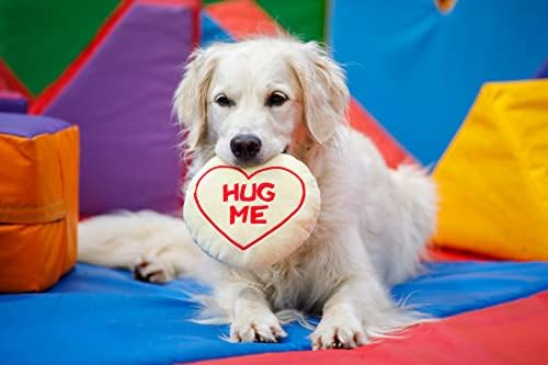 Petface Retro Hug Me Sweet Plush Dog Toy with Built-in Squeaker (Pack of 1) | Durable, Lightweight Design, for Fetch & Cuddling, Interactive Play