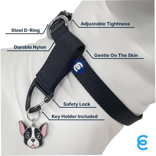 Blueberry Pet Essentials Small Dog Collar & Key Holder Set | Adjustable Black Nylon Collar for Small Dogs | Classic Solid Color Design with Matching Accessory