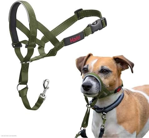 Halti Headcollar | Size 1, Forest Green | Training Collar for Small Dogs