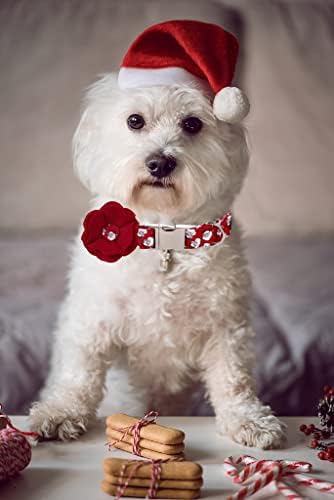 Lionet Paws Christmas Dog Collar with Felt Flower, Dog Flower Collar with Metal Buckle for Dogs, Adjustable Comfortable Dogs Collars Girl, M, Neck 13.5-22 in