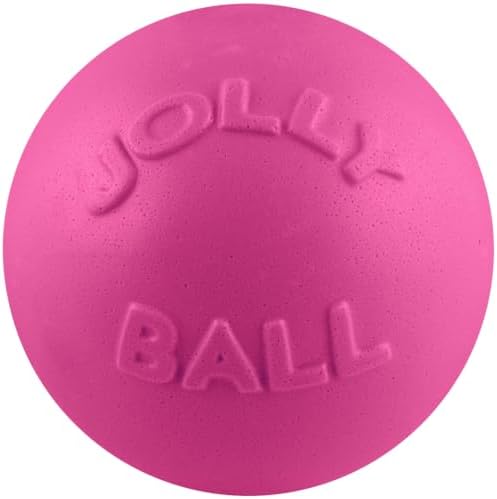 Jolly Pets Bounce-N-Play Large Dog Ball, 8 In, Pink | Durable large dog ball for dogs over 60 lbs, made from tough JollyFlex material that won't deflate when punctured and floats