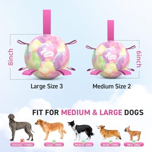 QDAN Dog Balls, Dog Soccer Ball with Straps,Puppy Girl Dog Toys, 6 Inch | Pink Puppy Toy Balls for Small Medium Dogs, Outdoor Dog Water Pool Toys, Dog Soccer Ball Toy, Pet Birthday Gifts, Rainbow