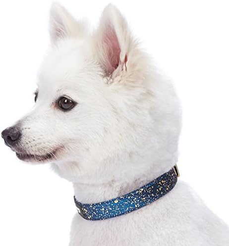Blueberry Pet Gold Stamping Lace Adjustable Dog Collar in Classy Navy, Neck 9-12.5", for Small Breed