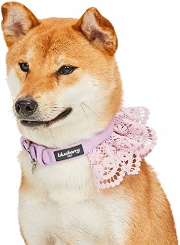 Blueberry Pet Floral Lace Adjustable Dog Collar in Lavender with Metal Buckle, Neck 13-16.5", for Medium Breed