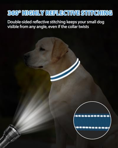Joytale Feather-Light Dog Collar for Medium & Large Dogs, 1", Sky Blue