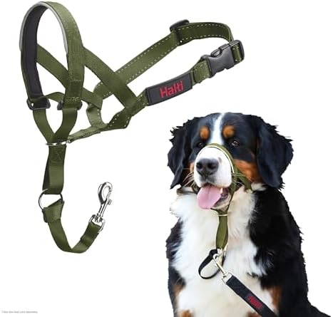 Halti Headcollar | Size 4, Forest Green | Training Collar for Large Dogs