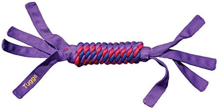 KONG Tugga Wubba Dog Toy, Large (Colors vary)