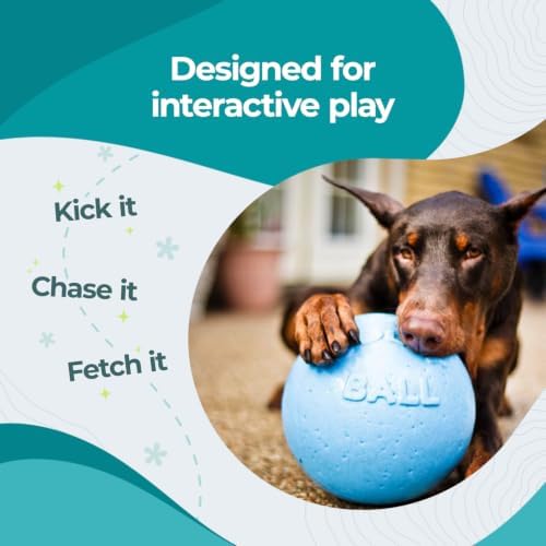 Jolly Pets Bounce-n-Play Dog Toy Ball, 6 Inches, Blueberry, All Breed Sizes | Tough, bouncy medium dog ball made from JollyFlex material that retains shape even when punctured and floats for water play
